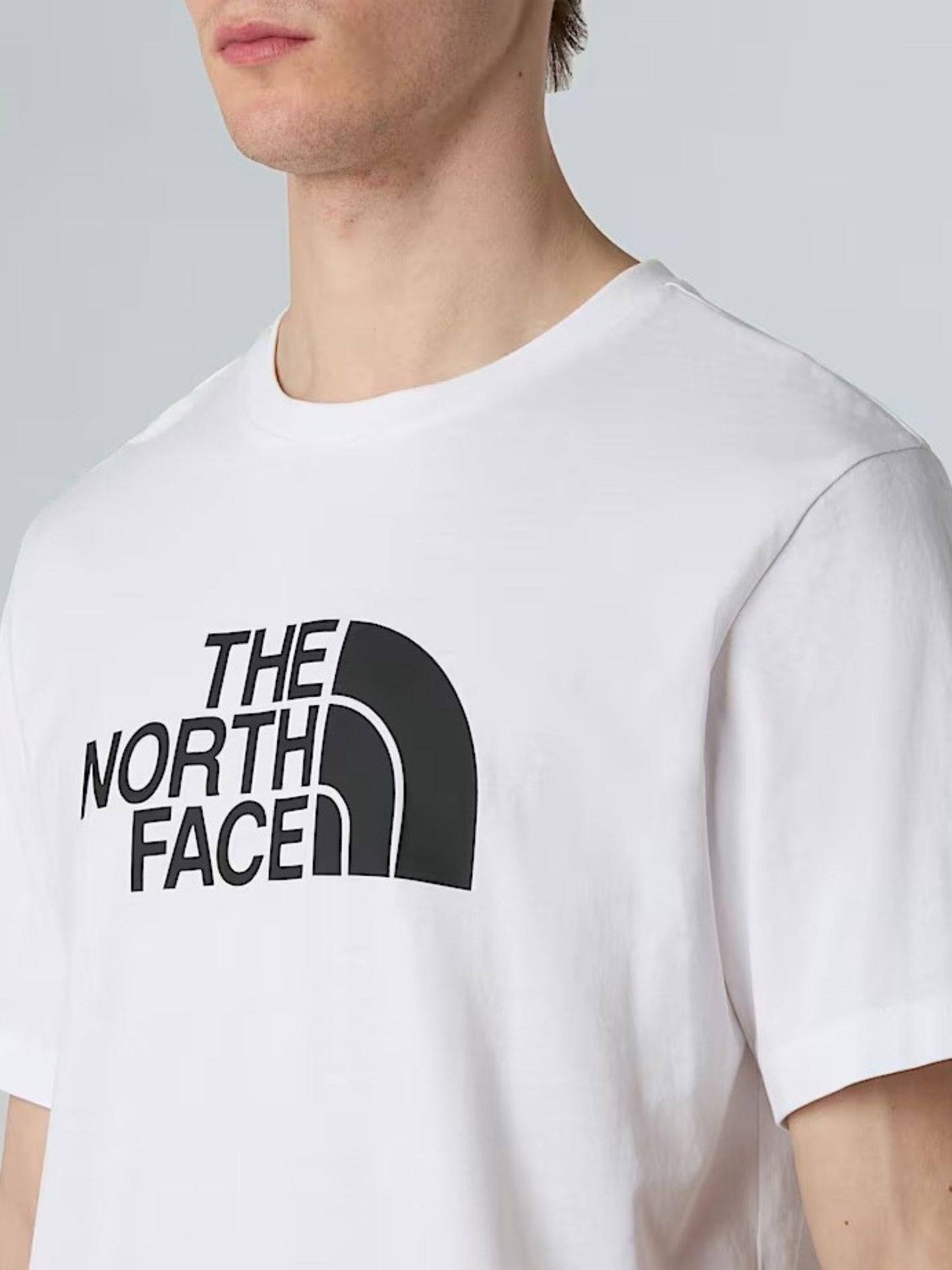The North Face T-shirt Uomo Easy Dome Bianco